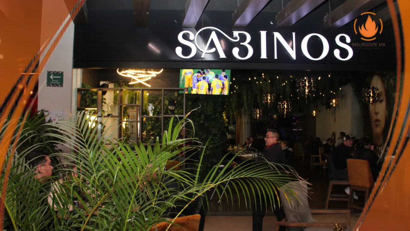 Noche mágica en Sabinos de Plaza Solesta