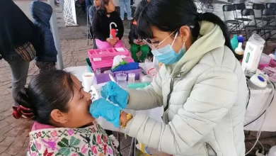 Mujeres Armentistas