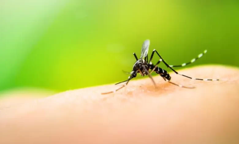 dengue en Puebla