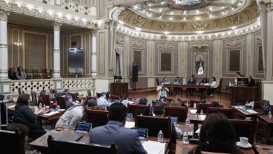 Congreso-Ley-Orgánica