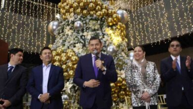 Alejandro Armenta árbol congreso