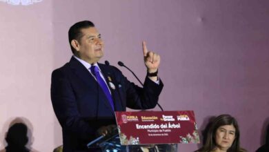 Alejandro Armenta maestros