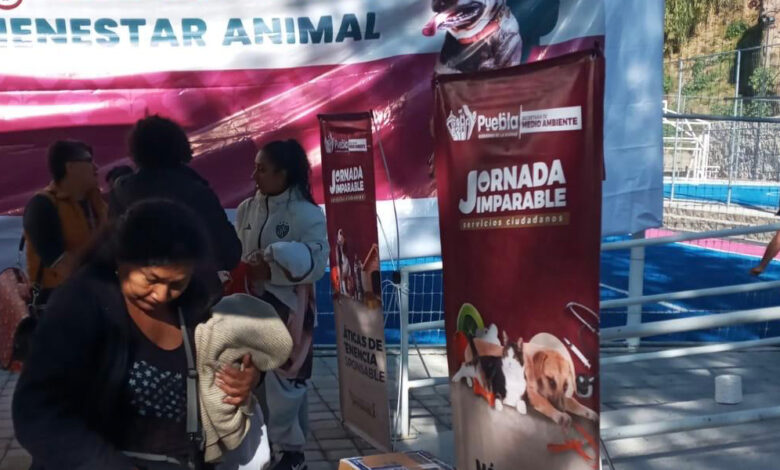 Bienestar Animal