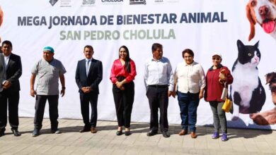Esterilización