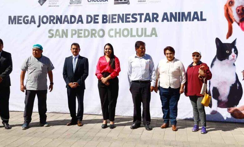Esterilización