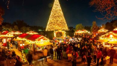Festival-Navideño