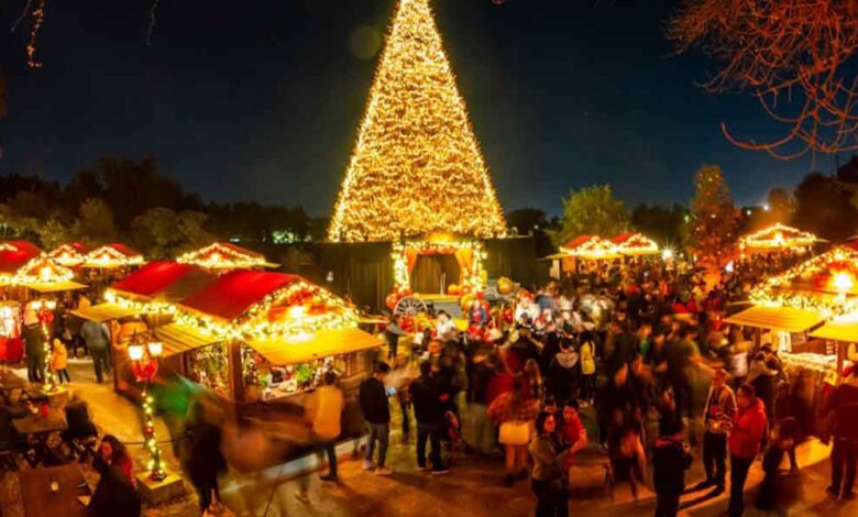 Festival-Navideño