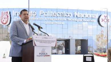 IPN