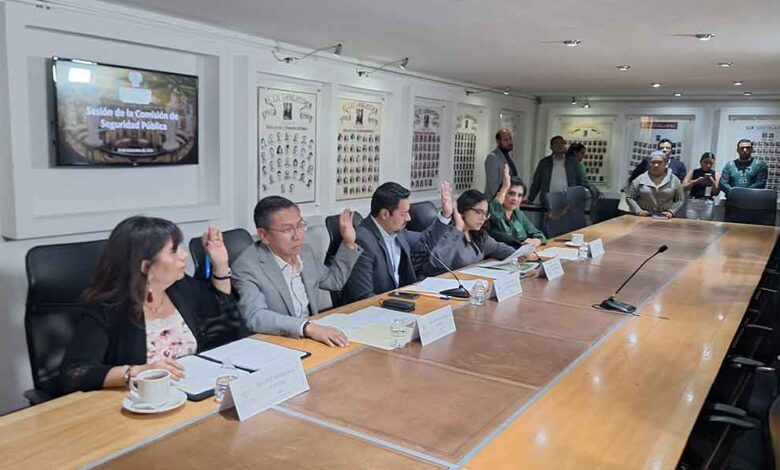 Ley-de-Seguridad
