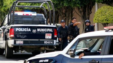 Seguridad Ciudadana