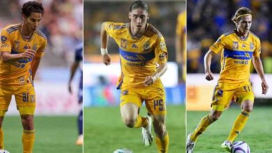 tigres