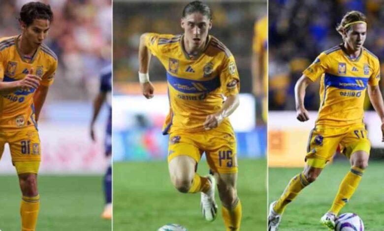 tigres