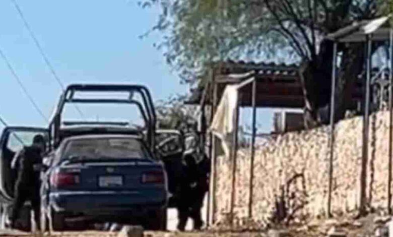 Viborillas de Hidalgo Chietla