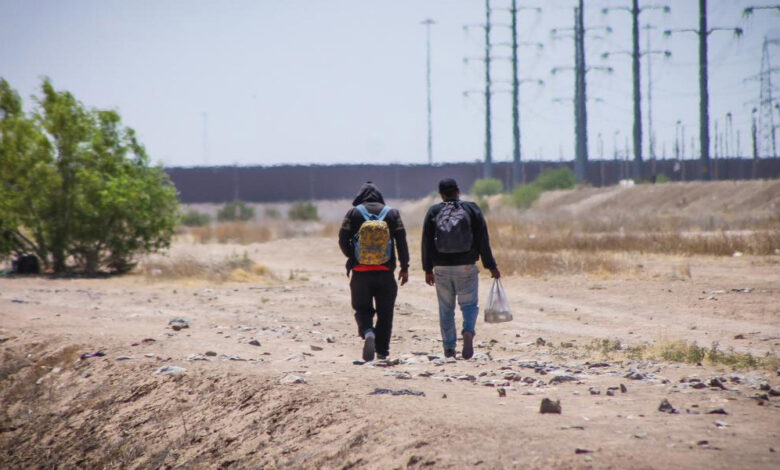 migrantes