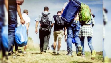 migrantes-conago-sheinbaum