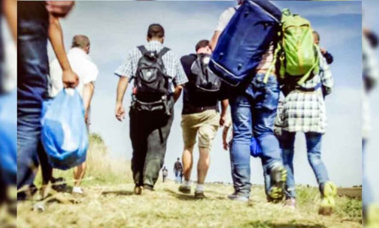 migrantes-conago-sheinbaum