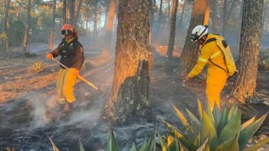 Proteccion-civil-incendios