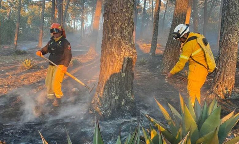 Proteccion-civil-incendios