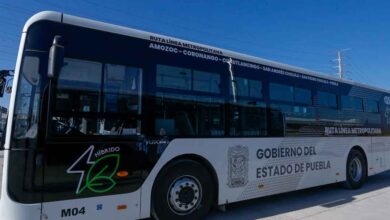 RUTA-linea-4