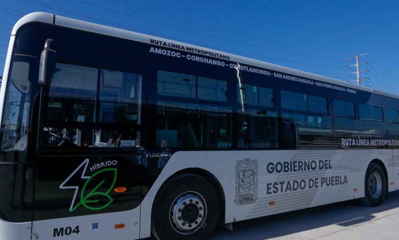 RUTA-linea-4