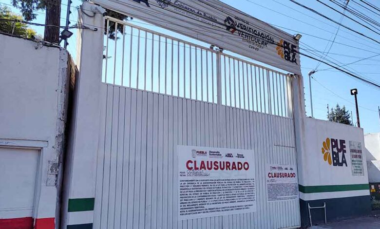 Verificación