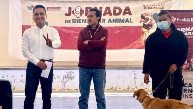 Protección Animal