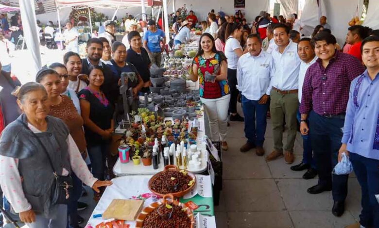 Agrotianguis-Regional