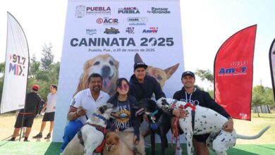 Caninata 2025