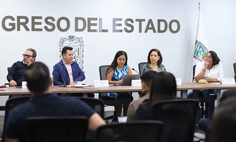 Congreso-ONG