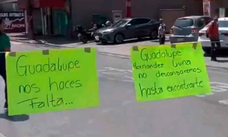 Guadalupe N.