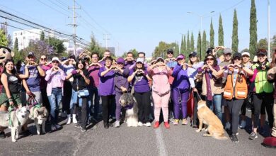 Vía Recreativa Violeta