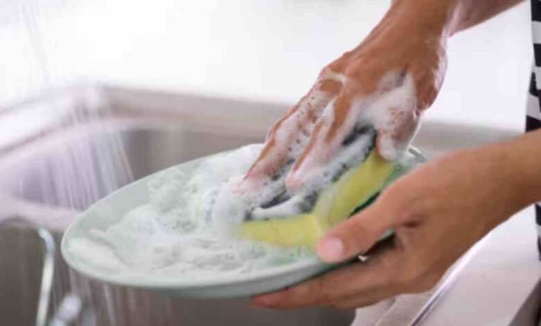 esponjas de cocina