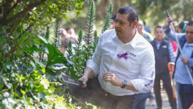 faena teziutlan Alejandro Armenta