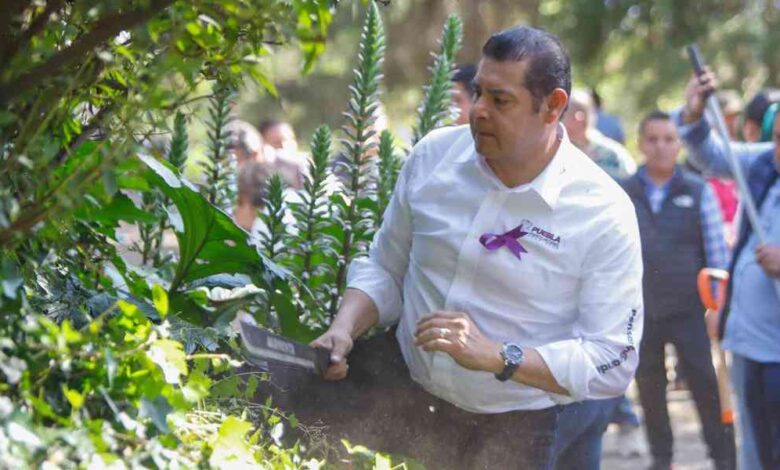 faena teziutlan Alejandro Armenta