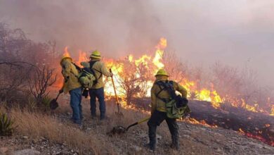 incendio-forestal-en-Tehuacán