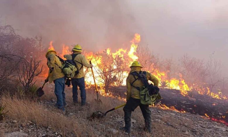 incendio-forestal-en-Tehuacán