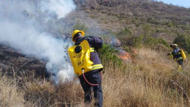 incendios forestales