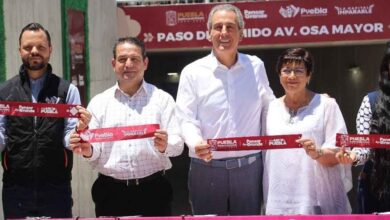 Osa Mayor