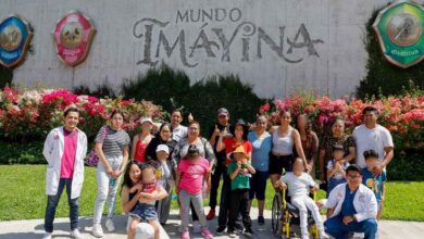 Imayina
