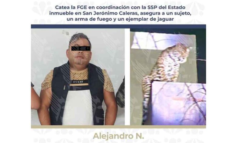 Jagura-caleras