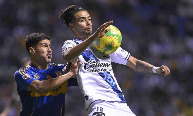 Puebla tigres
