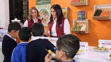 SEDETRA Escuelas
