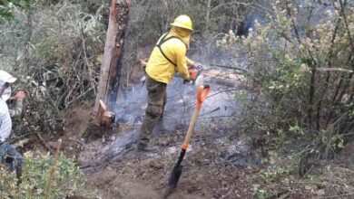 Tlachichuca incendio