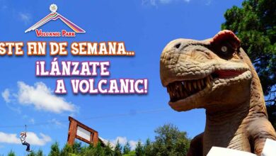 Volcanic Park