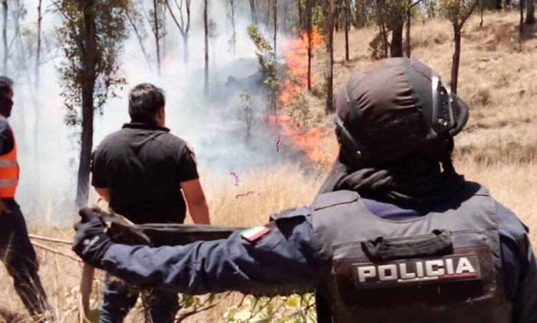Policía montada de la SSC Cholula se suma al combate de incendios