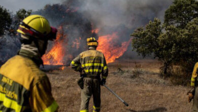 Hay dos detenidos por provocar incendios forestales en Puebla