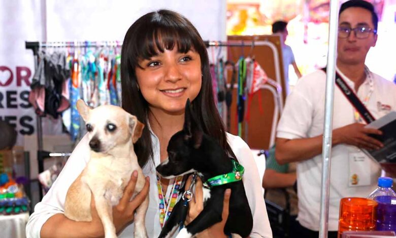 Gobierno federal y estatal impulsarán campaña de protección de animales