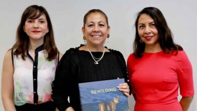 Congreso escucha todas las voces para elaborar Leyes, afirma Laura Artemisa García en reunión con sector empresarial