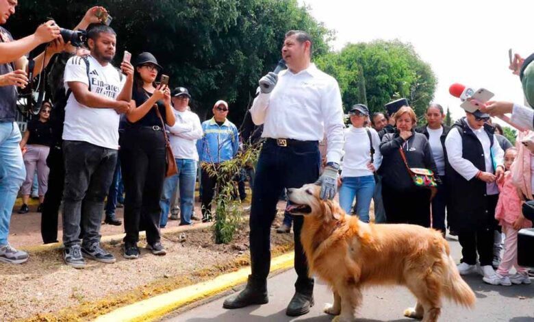 Gobierno federal y estatal impulsarán campaña de protección de animales