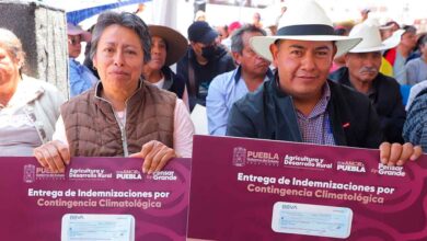 Gobierno de Puebla rescata economía de productores ante heladas atípicas en Chiautzingo